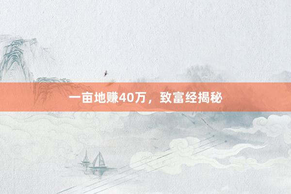一亩地赚40万，致富经揭秘