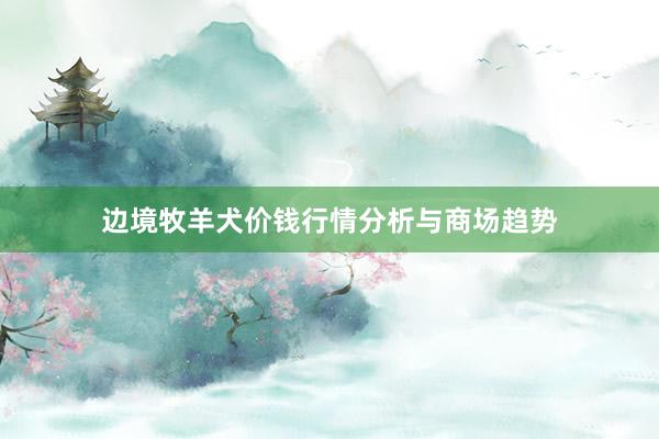边境牧羊犬价钱行情分析与商场趋势