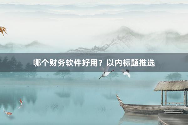 哪个财务软件好用？以内标题推选