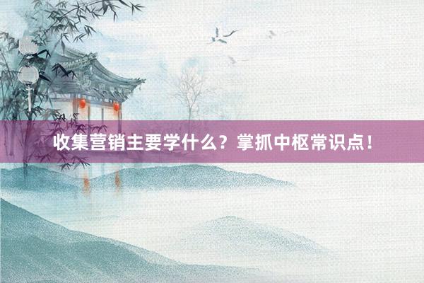 收集营销主要学什么？掌抓中枢常识点！